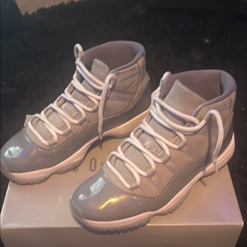 Mens Grey Jordan 11s Size 10